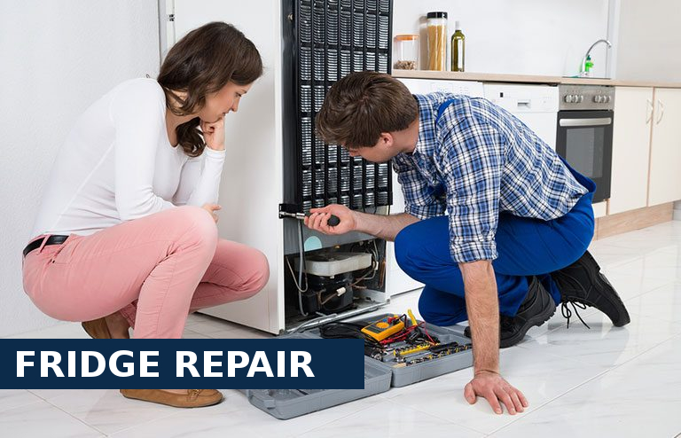 Fridge Repair Regent's Park